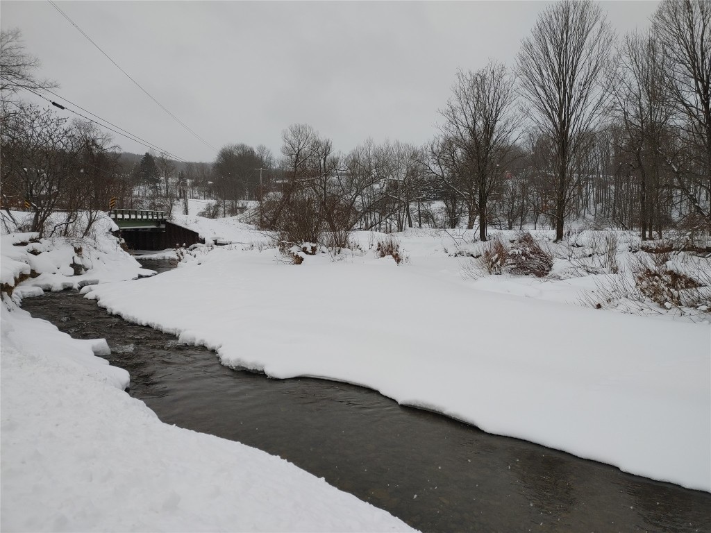 563 Cold Spring Road Marathon, NY 13803 - Photo 4 of 6 Gallery Image 4