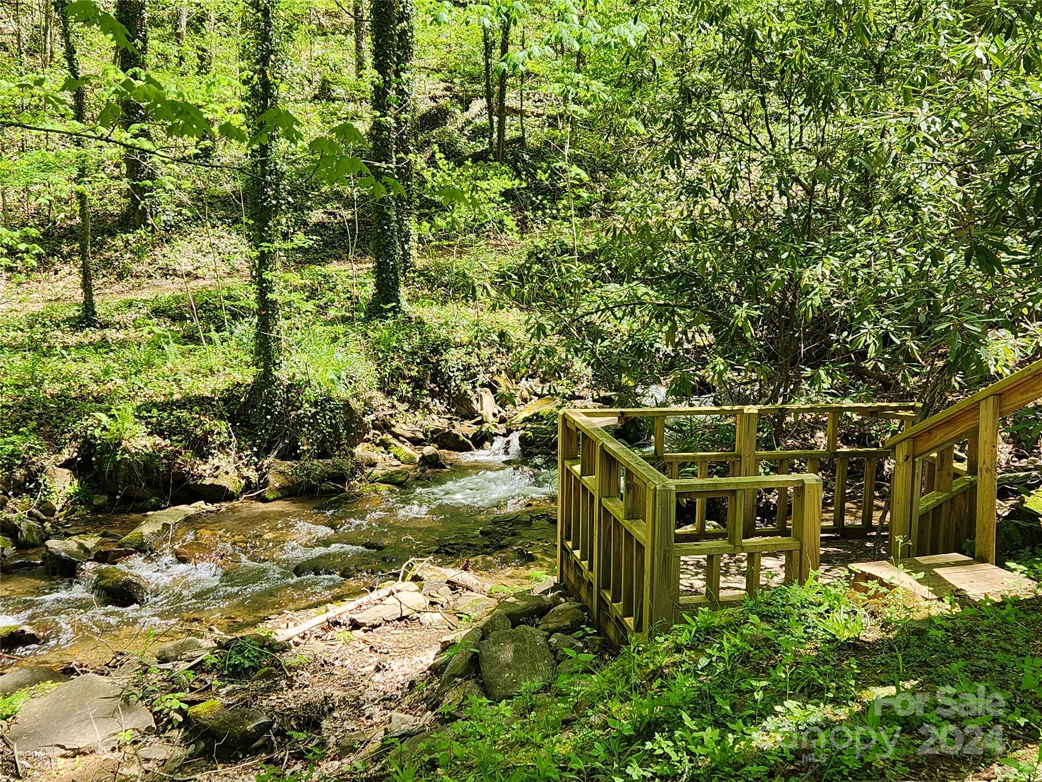 111 Chestnut Cove Road Whittier, NC 28789 - Photo 32 of 48 Gallery Image 32