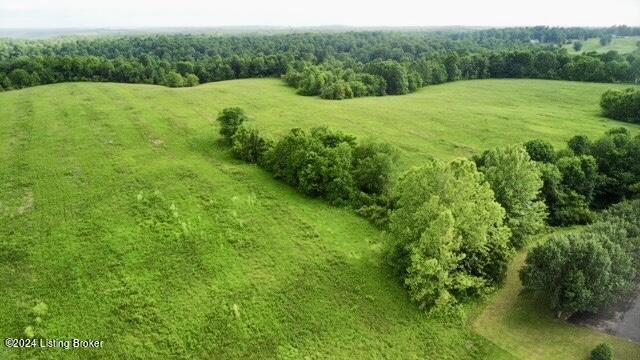 4670 Rabbit Flat Road Caneyville, KY 42721 - Photo 37 of 53 IMG_7283