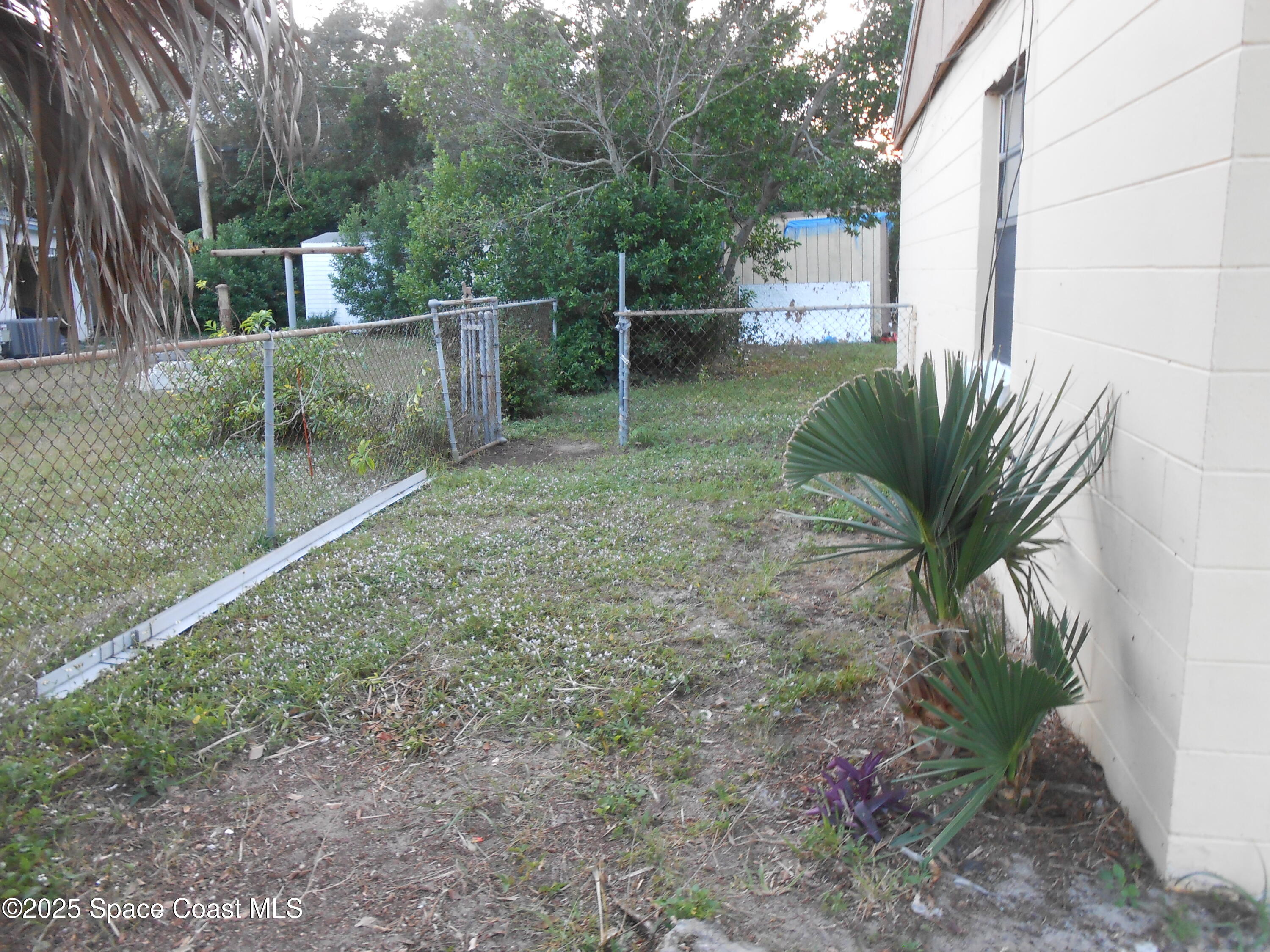 a view of a backyard with plants