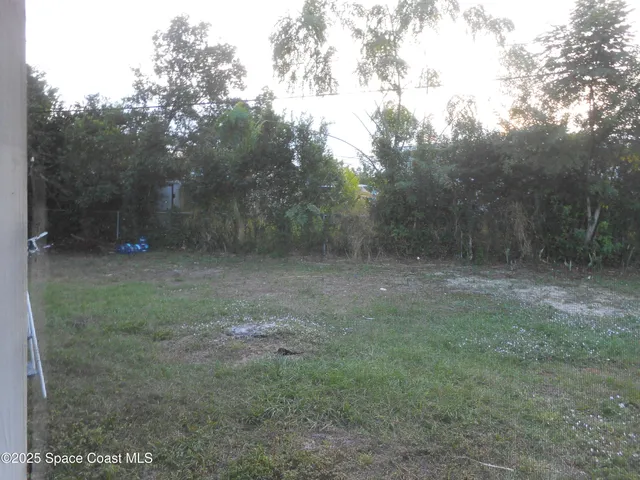 a view of a forest with trees in the background