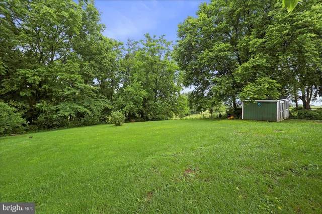 a view of a backyard with a garden