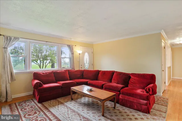 a blue couch sitting in a living room next to a window