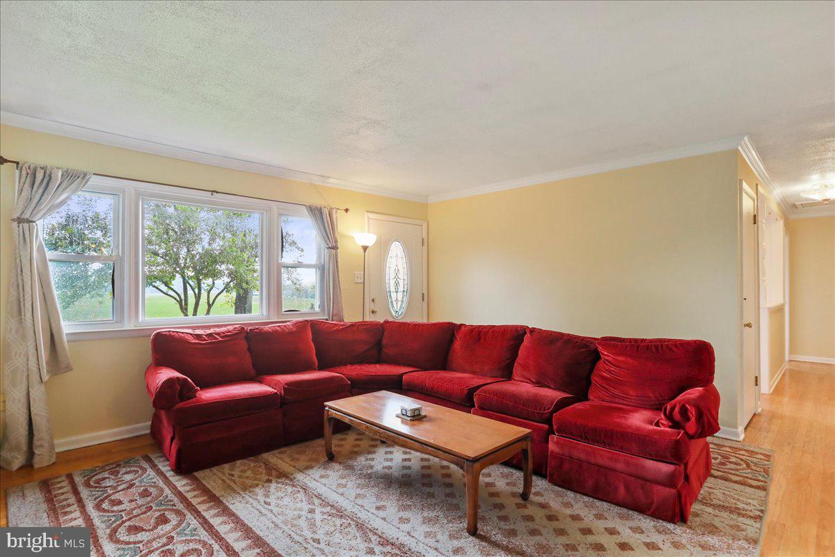 1956 Cattail Run Road Charles Town, WV 25414 - Photo 6 of 29 a blue couch sitting in a living room next to a window