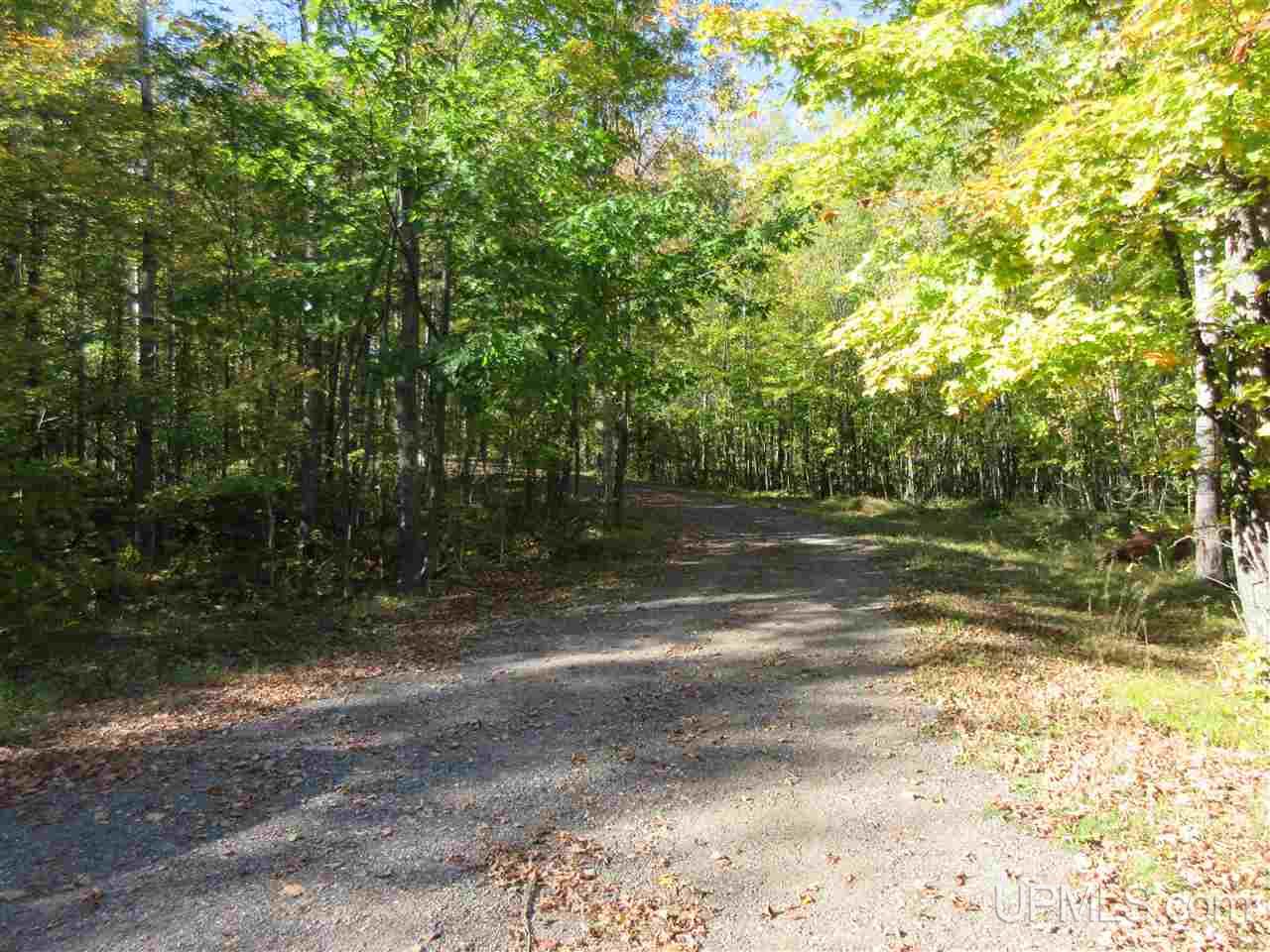 119 Ridge View Drive Iron River, MI 49935 - Photo 23 of 44