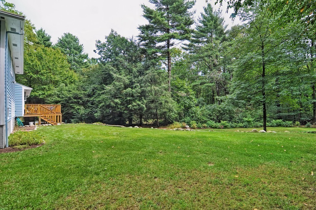 141 Woodridge Road Wayland, MA 01778 - Photo 24 of 25 Gallery Image 24