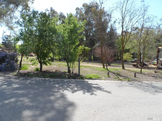 a view of a road with a trees