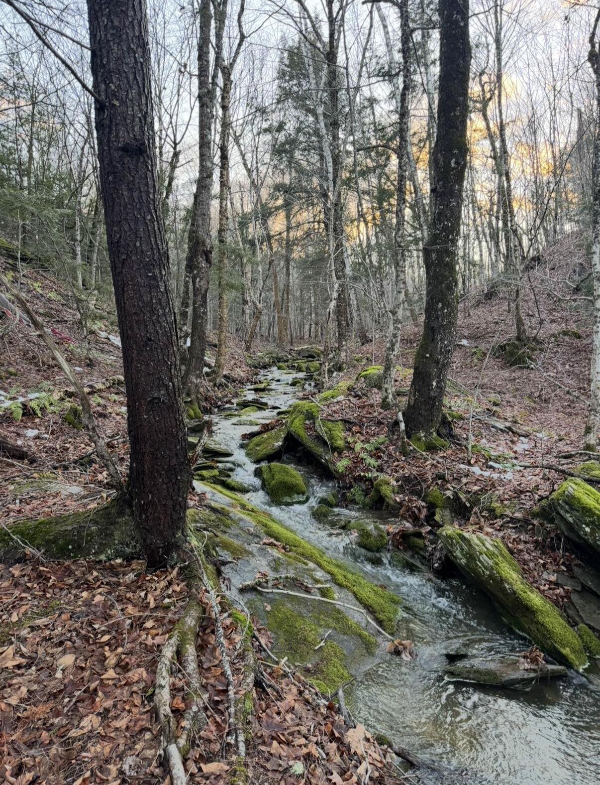 50 Kennard Road Newburgh, ME 04444 - Photo 25 of 25 IMG_9003