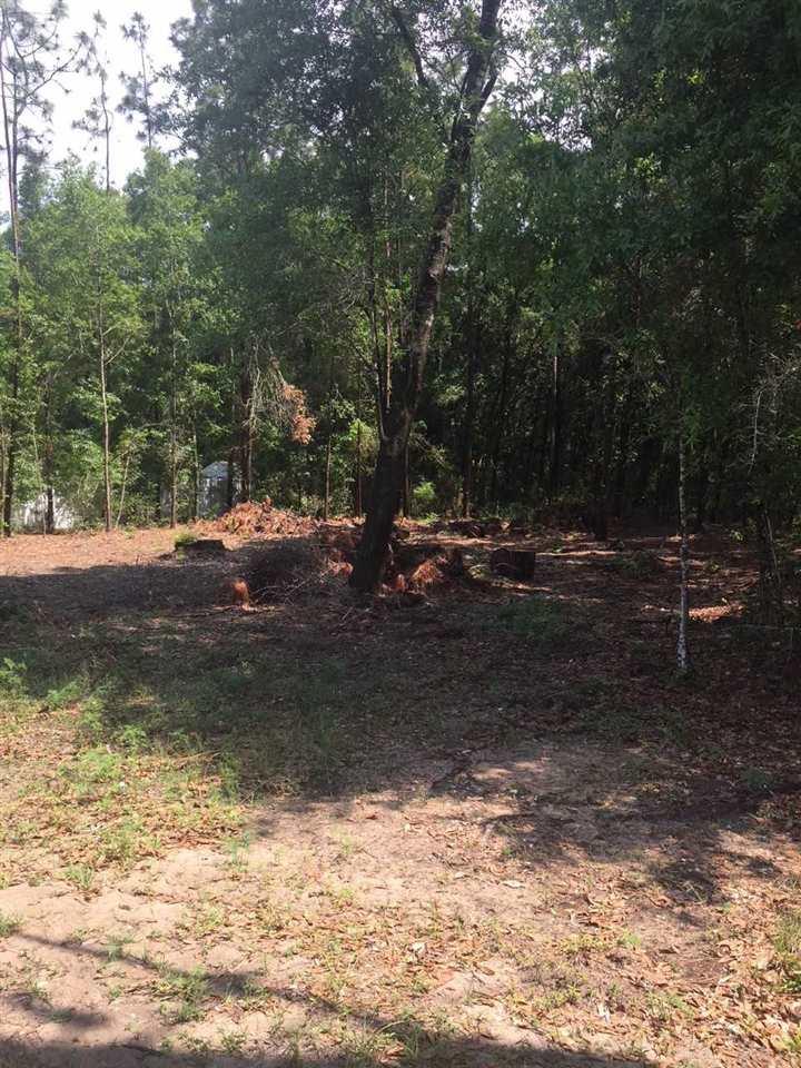 0 Kingery Road Milton, FL 32583 - Photo 4 of 8 Gallery Image 4