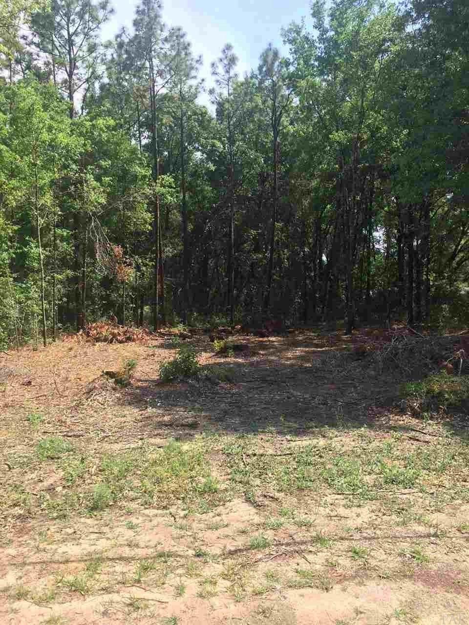 0 Kingery Road Milton, FL 32583 - Photo 5 of 8 Gallery Image 5