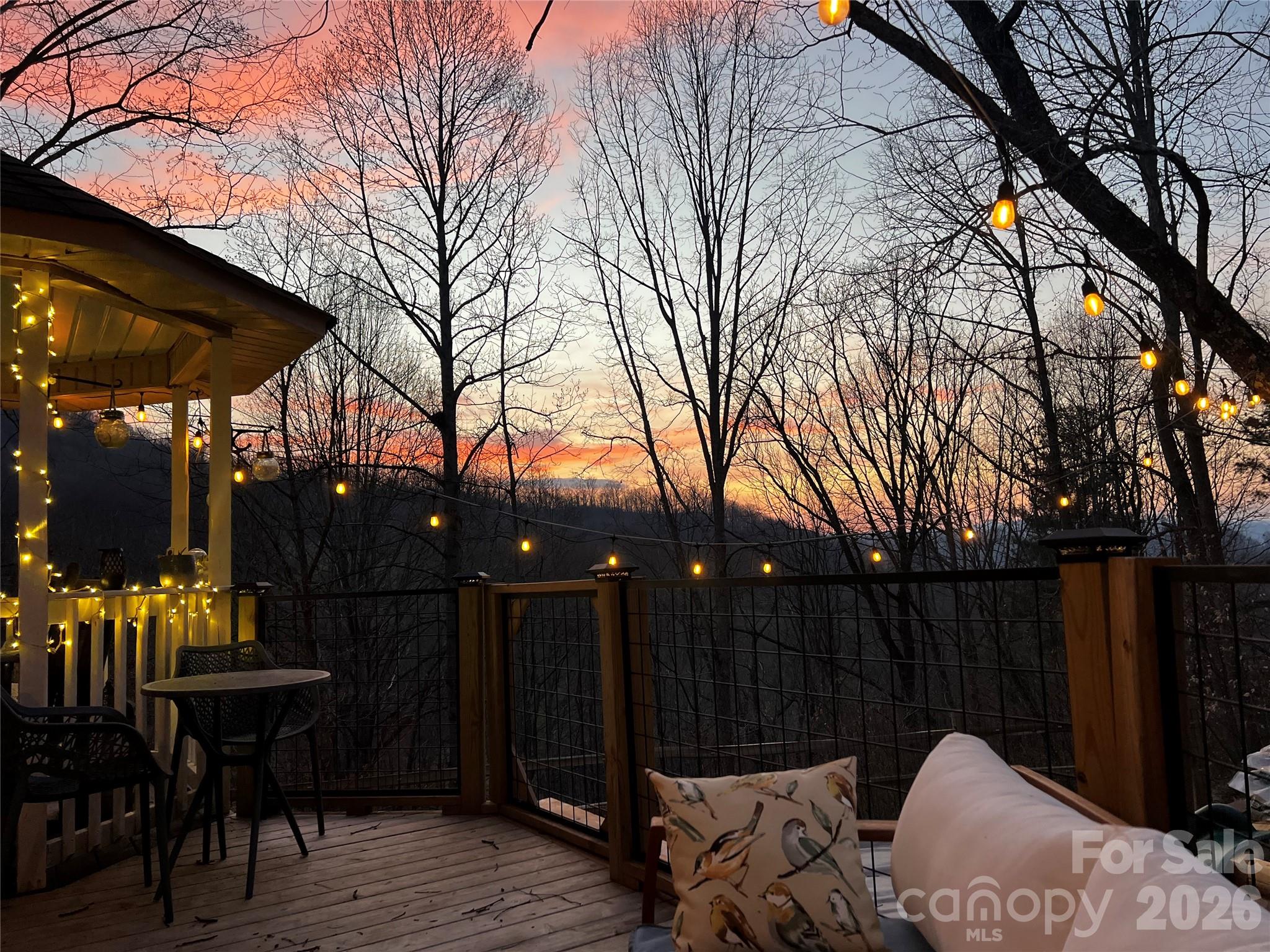 747 Osborne Road Clyde, NC 28721 - Photo 45 of 48