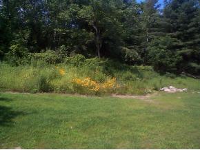 252 Jenny Davis Road Waterbury, VT 05676 - Photo 4 of 7 Gallery Image 4