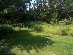 252 Jenny Davis Road Waterbury, VT 05676 - Photo 5 of 7 Gallery Image 5