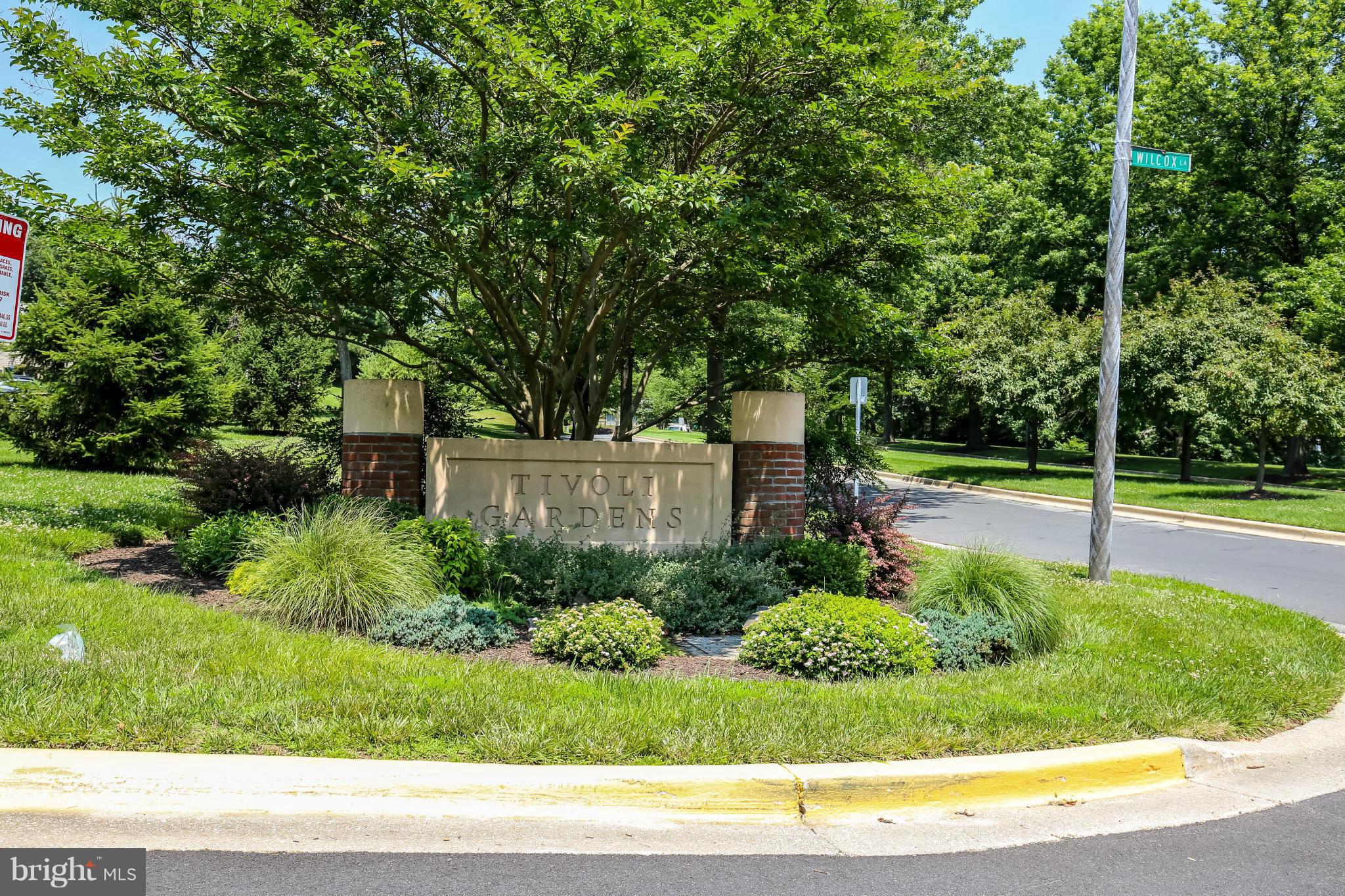 1748 Wilcox Lane Silver Spring, MD 20906 - Photo 17 of 19 a view of a garden with large trees