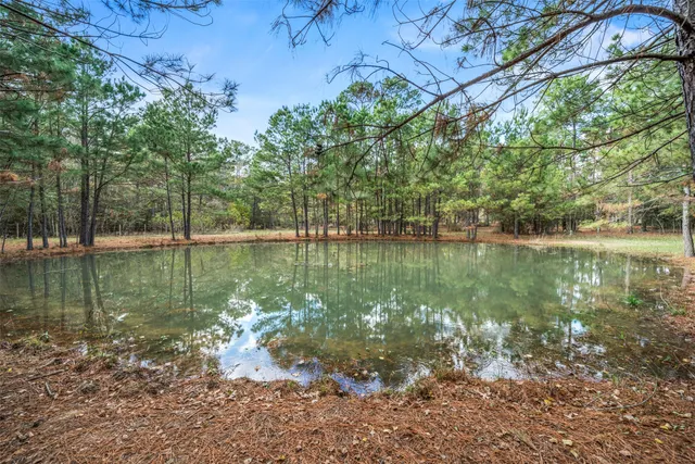 $750,000 | 17709 Terrace Oaks Drive, Waller, TX 77484