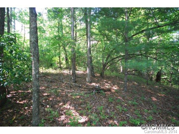 12 Ferndale Road, Unit 12 Pisgah Forest, NC 28768 - Photo 1 of 14 a view of outdoor space and green space
