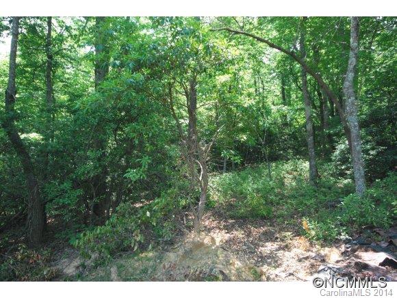 12 Ferndale Road, Unit 12 Pisgah Forest, NC 28768 - Photo 2 of 14 a view of a forest with trees in the background