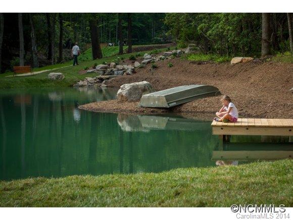 12 Ferndale Road, Unit 12 Pisgah Forest, NC 28768 - Photo 12 of 14 a view of a lake with huge green field