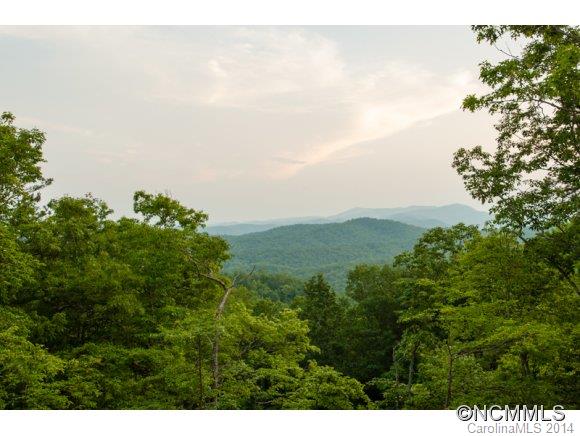 12 Ferndale Road, Unit 12 Pisgah Forest, NC 28768 - Photo 14 of 14 a view of a field of grass and trees