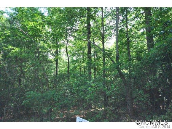 12 Ferndale Road, Unit 12 Pisgah Forest, NC 28768 - Photo 3 of 14 a view of a forest