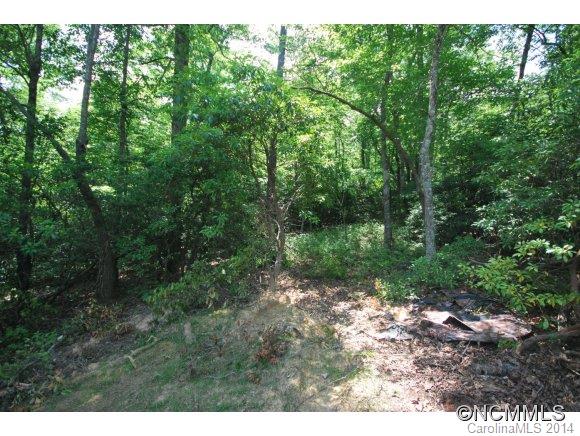 12 Ferndale Road, Unit 12 Pisgah Forest, NC 28768 - Photo 5 of 14 a view of a forest with trees in the background