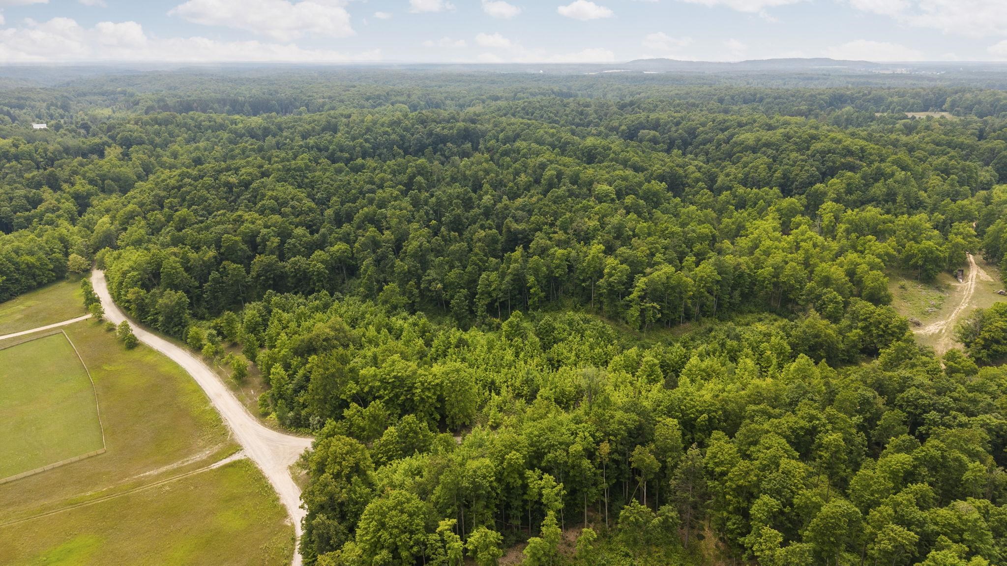 South Hill Road Cedar, MI 49621 - Photo 11 of 15