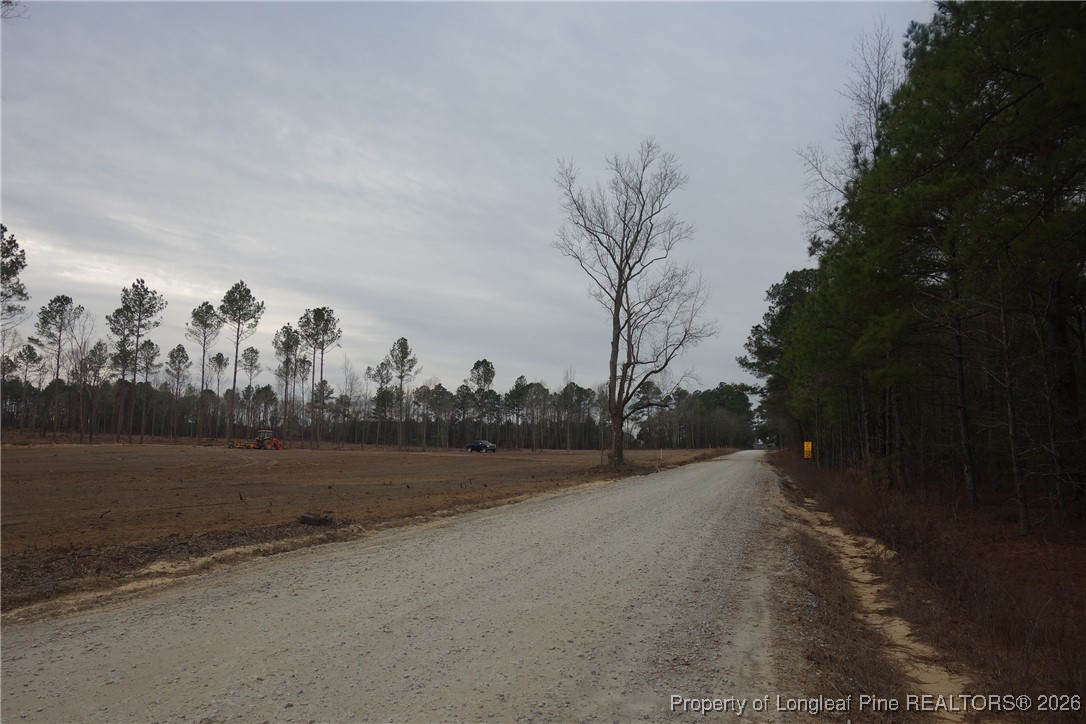 Lot 11 Sand Rock Road Fairmont, NC 28340 - Photo 4 of 4