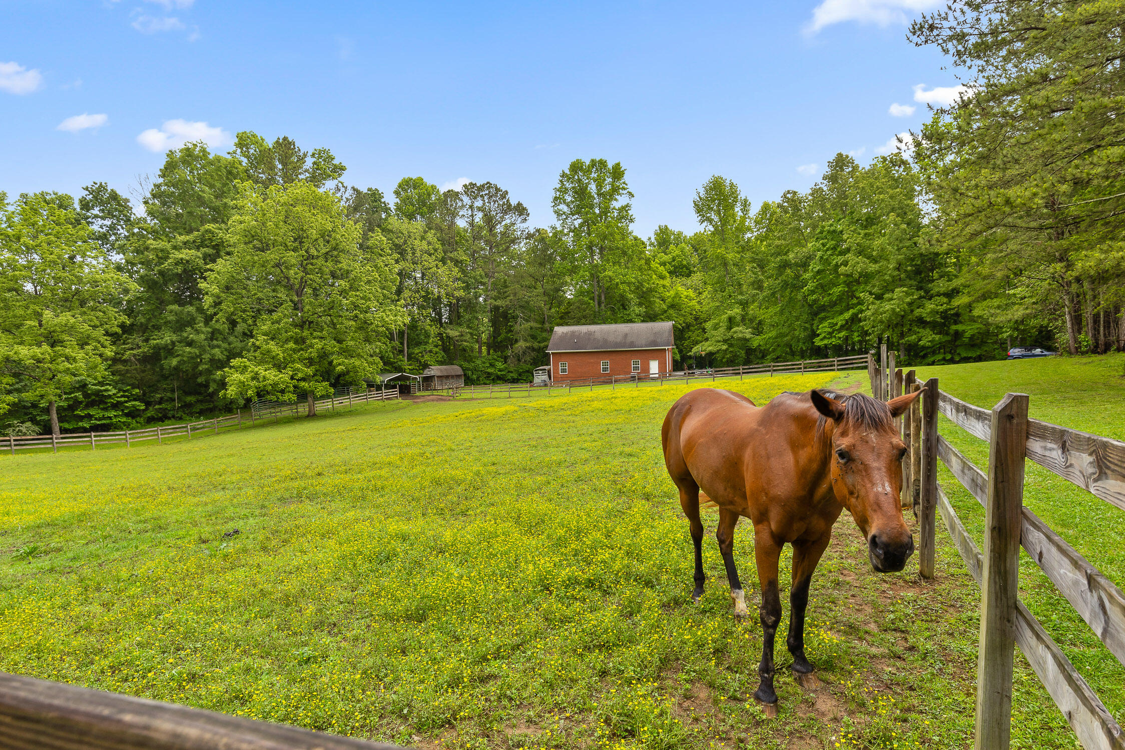 504 Hankins Road Rock Spring, GA 30739 - Photo 50 of 69 Hankins-23