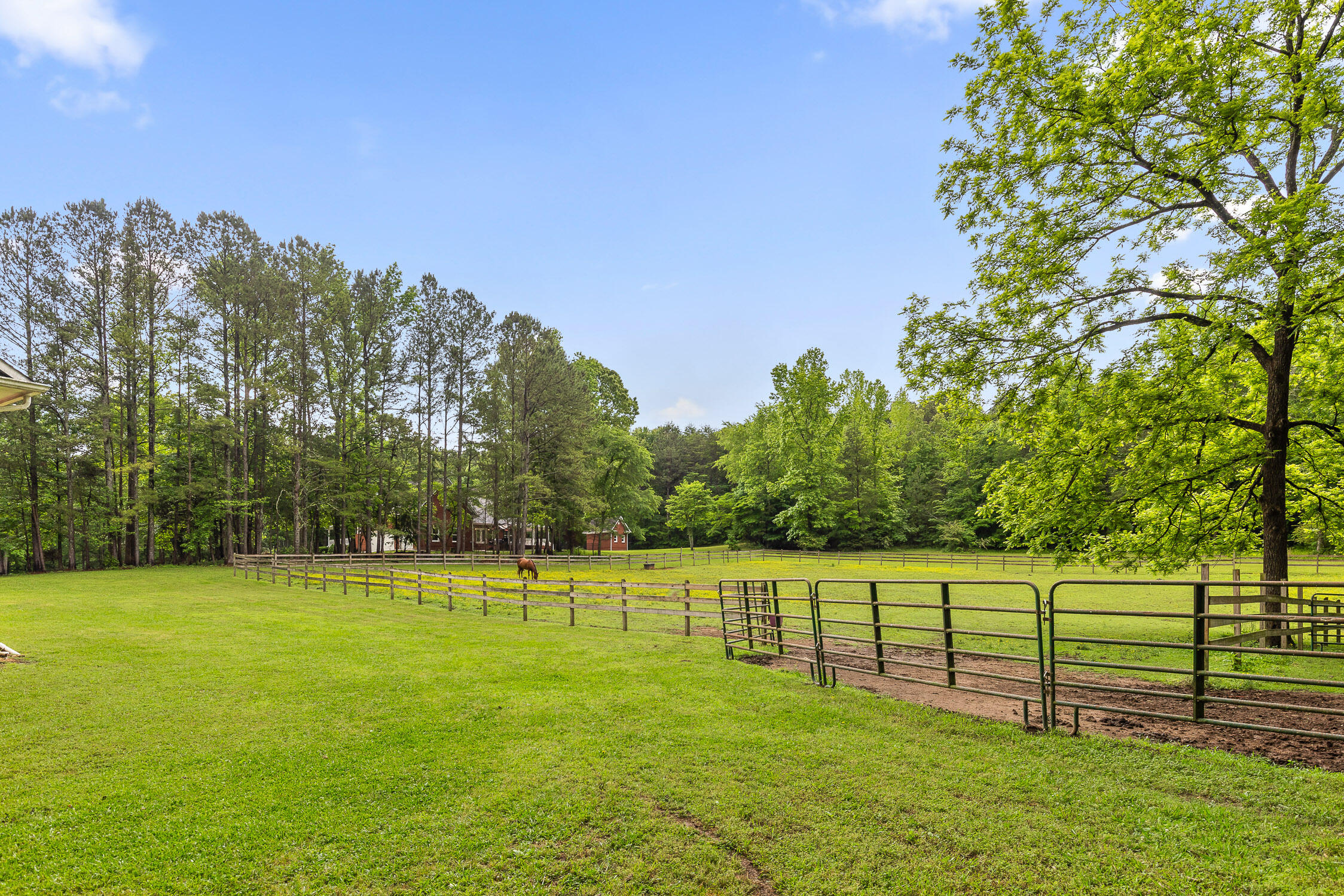 504 Hankins Road Rock Spring, GA 30739 - Photo 56 of 69 Hankins-26