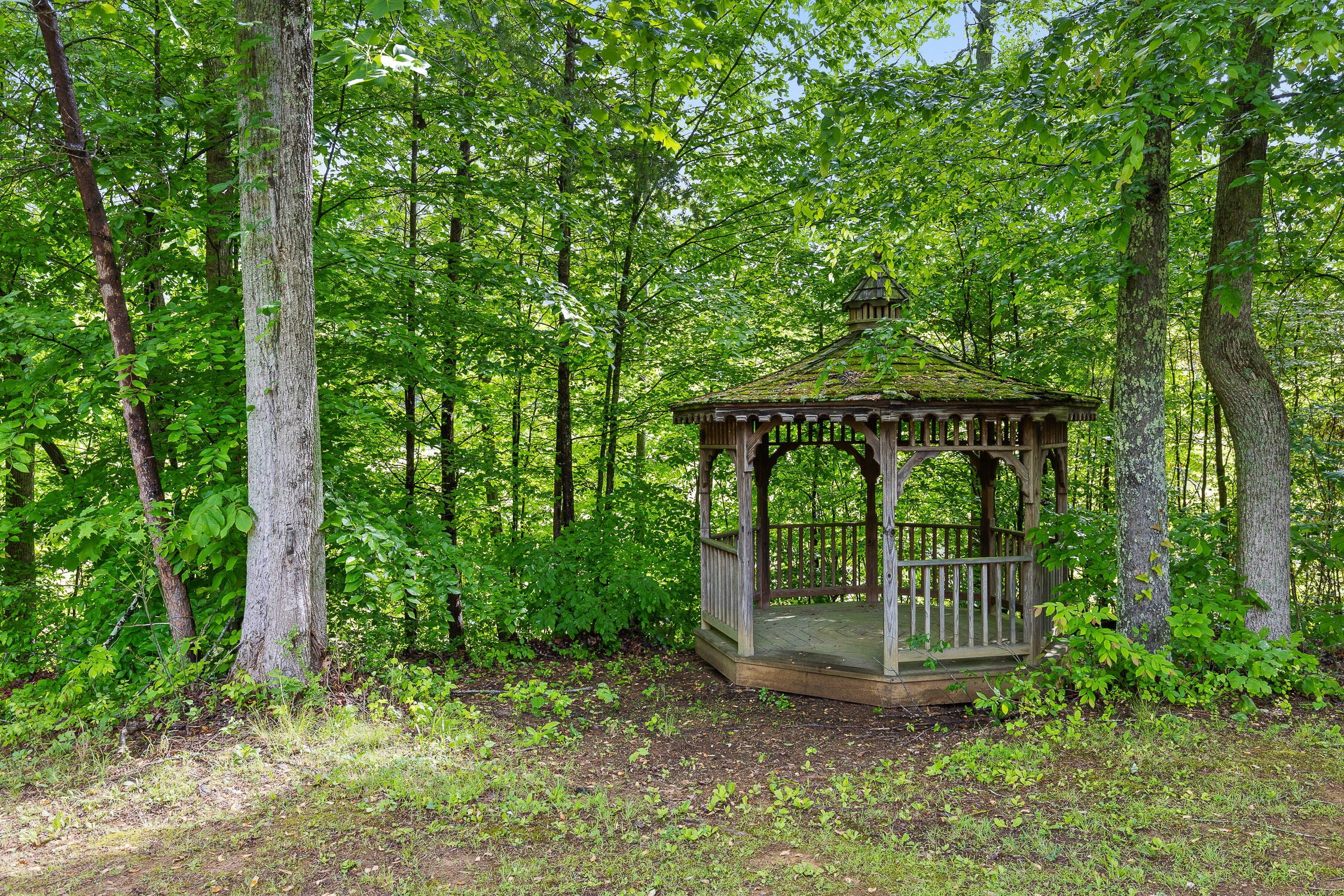 504 Hankins Road Rock Spring, GA 30739 - Photo 59 of 69 Hankins-35