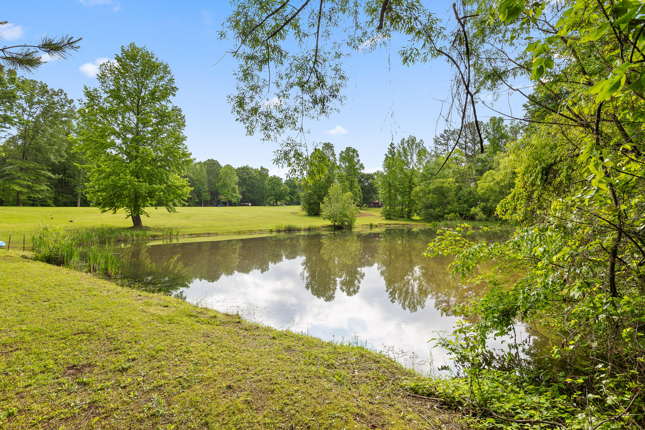 504 Hankins Road Rock Spring, GA 30739 - Photo 60 of 69 Hankins-37