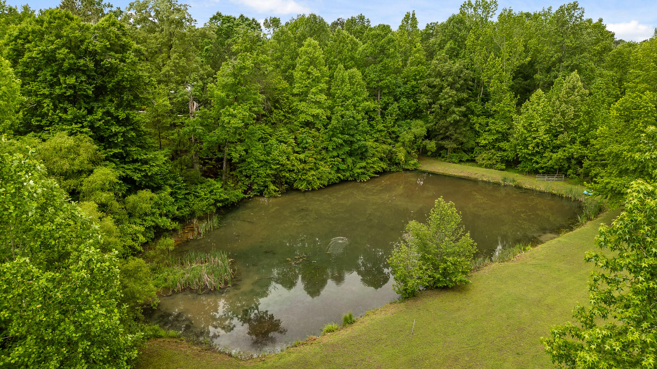 504 Hankins Road Rock Spring, GA 30739 - Photo 63 of 69 Hankins-49