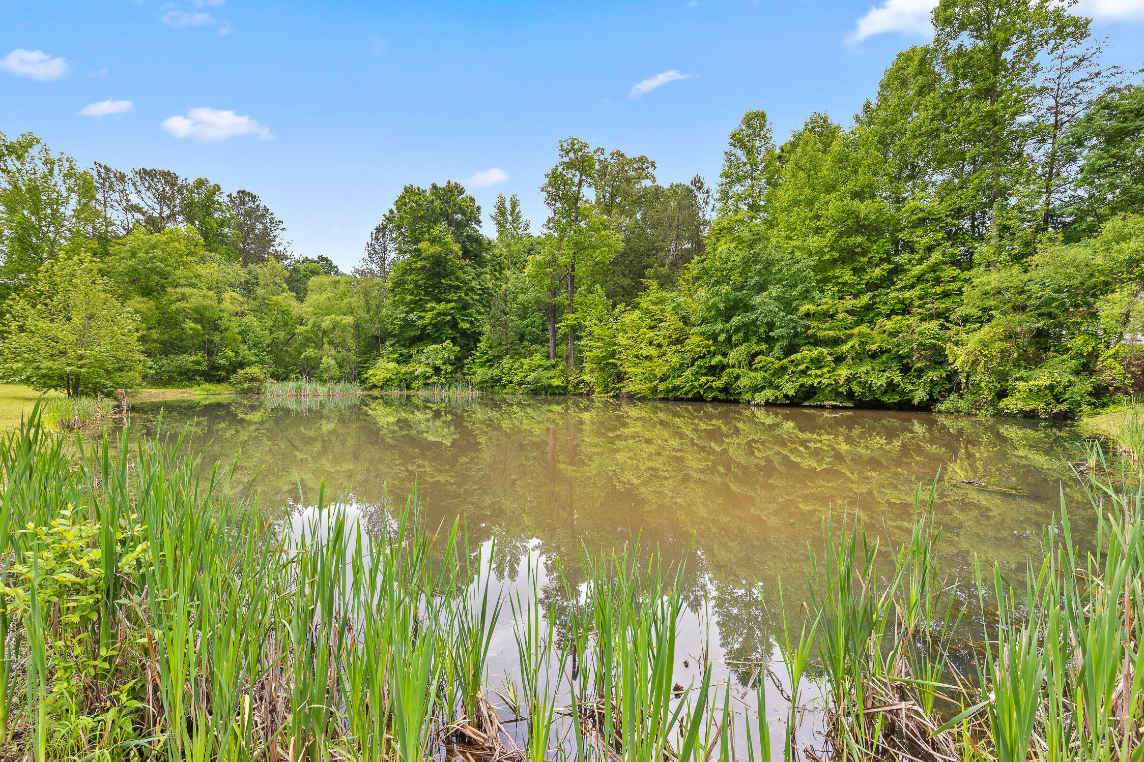 504 Hankins Road Rock Spring, GA 30739 - Photo 64 of 69 Hankins-40