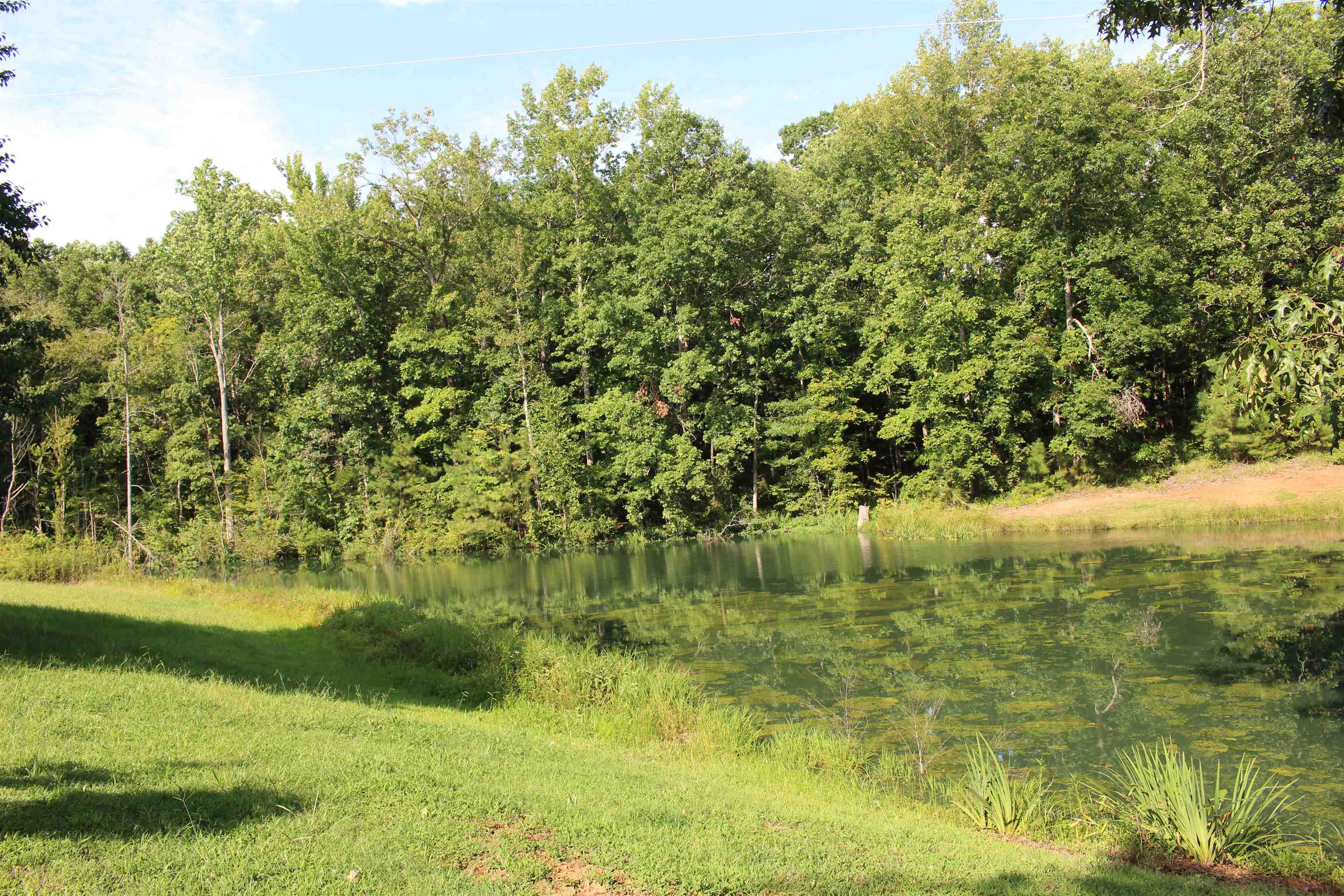 277 Good Hope Church Road Adamsville, TN 38310 - Photo 6 of 35 Gallery Image 6