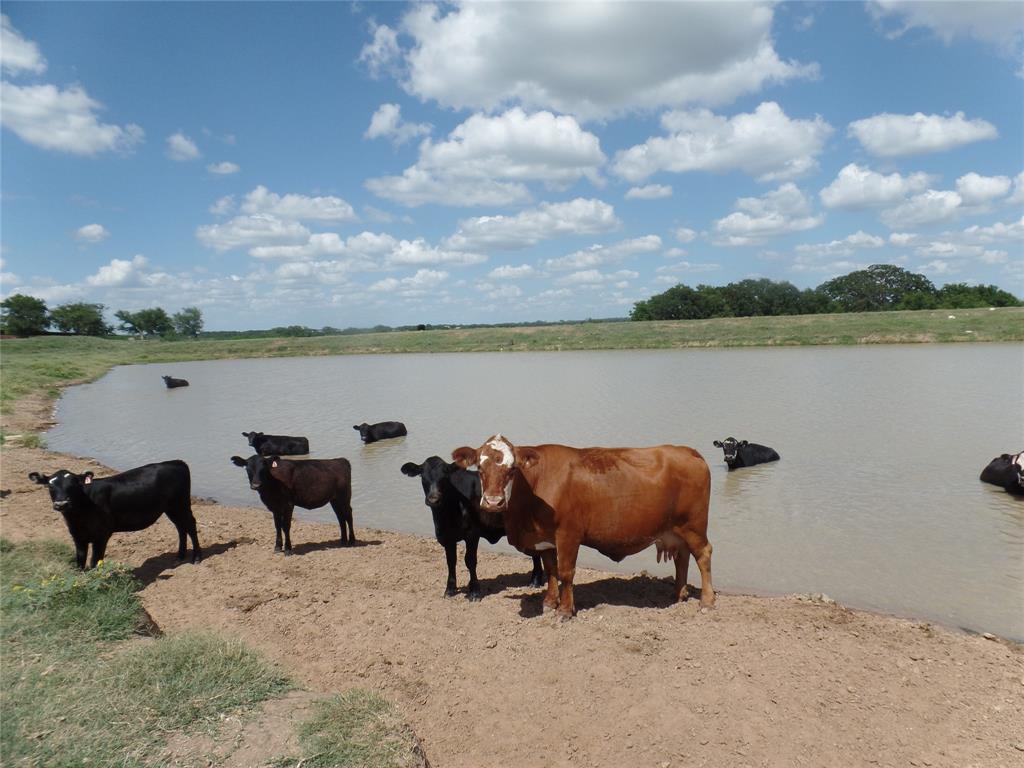 11937 Farm To Market 3025  