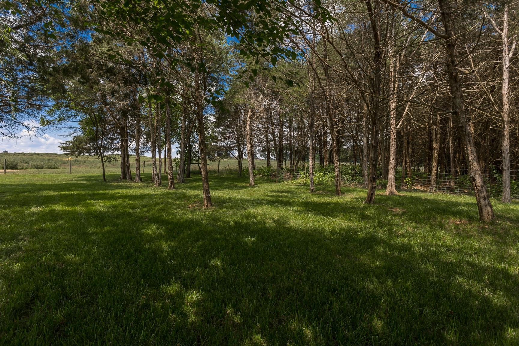 1786 Fadley Road Weyers Cave, VA 24486 - Photo 64 of 75 Gallery Image 64