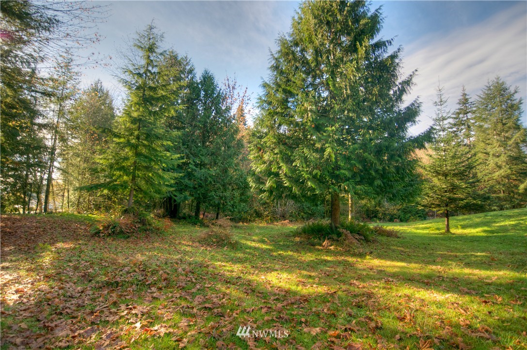 7829 Delphi Road Southwest Olympia, WA 98512 - Photo 21 of 24 Gallery Image 21