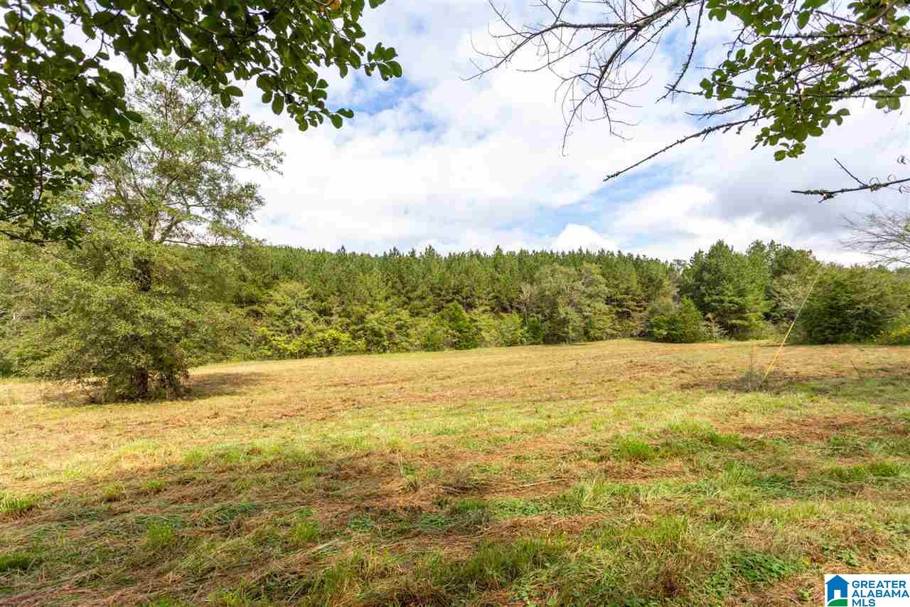 577 Richeytown Road Eastaboga, AL 36260 - Photo 37 of 42