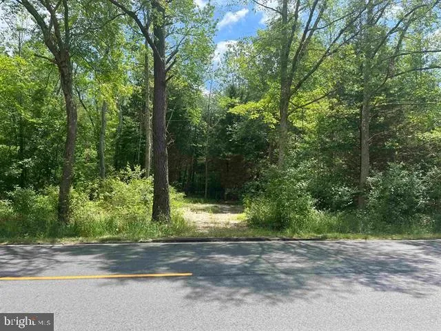 a view of street along with trees