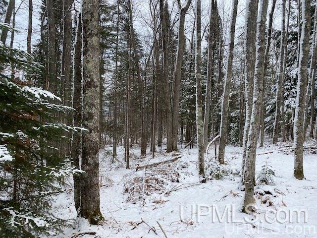 Tbd Tbd Northwoods Road Marquette, MI 49855 - Photo 27 of 31
