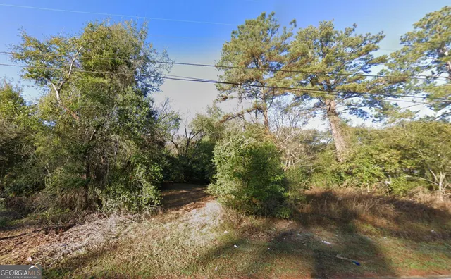 a view of a yard with a tree