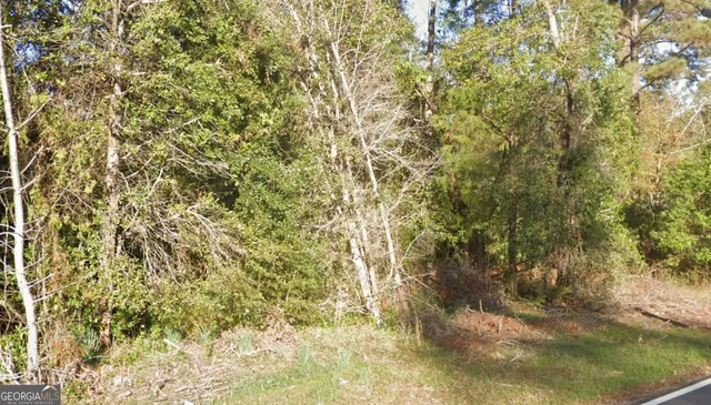 $10,000 | 709 North Miller Avenue, Bainbridge, GA 39817