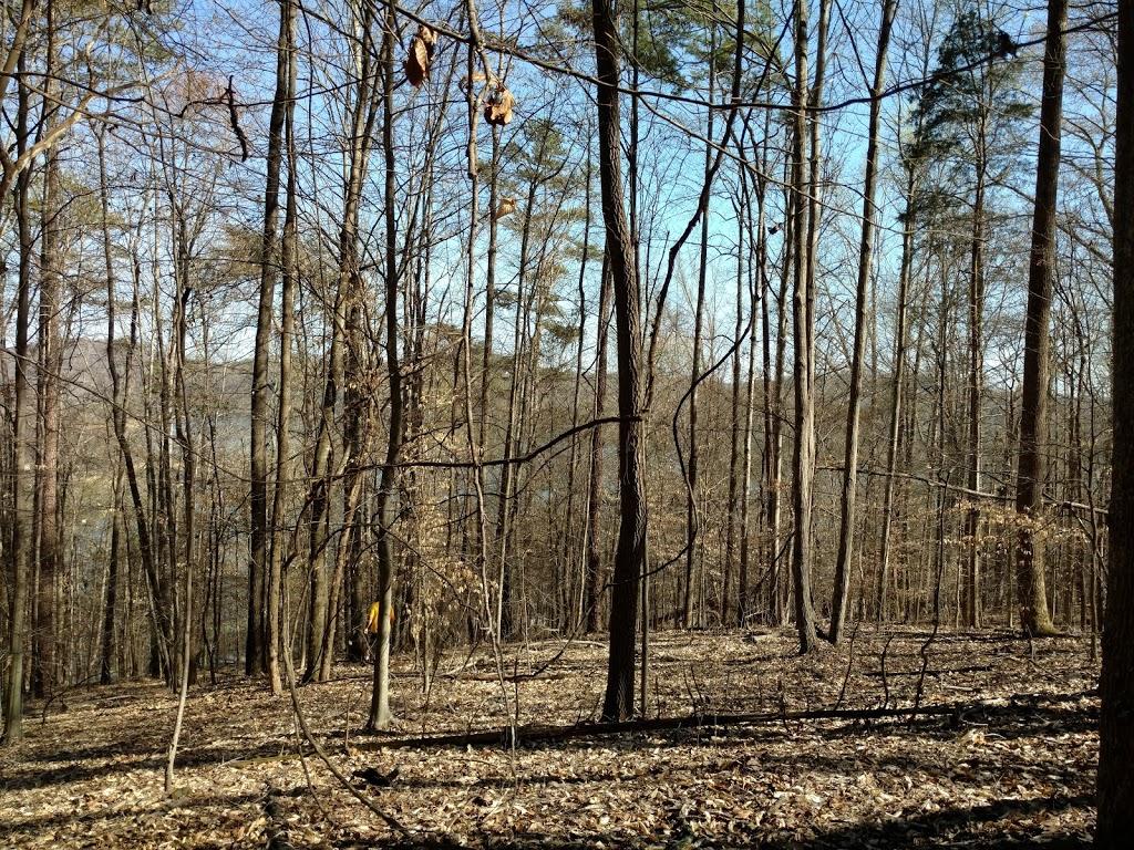 258 Big Ridge Point Sharps Chapel, TN 37866 - Photo 4 of 13 Level lot