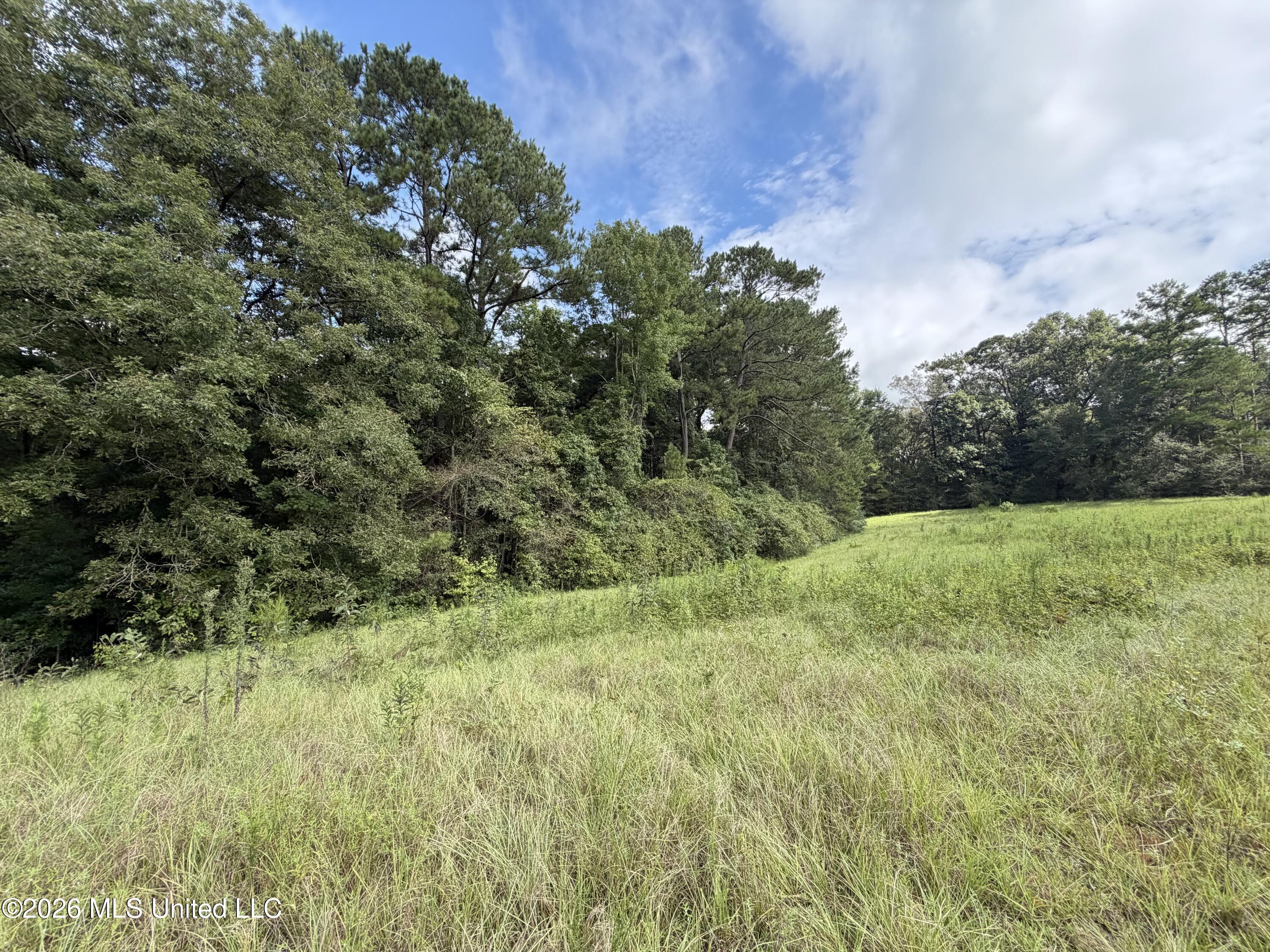 Rock Hill Sumrall, MS 39482 - Photo 10 of 19 IMG_6042