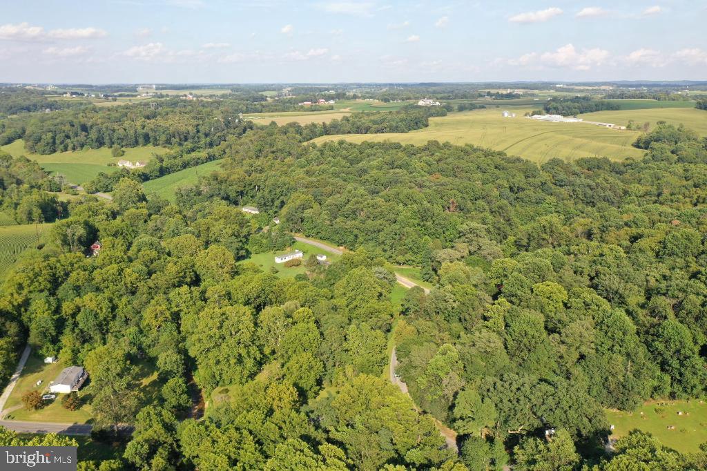 Lush green landscape with rolling hills.