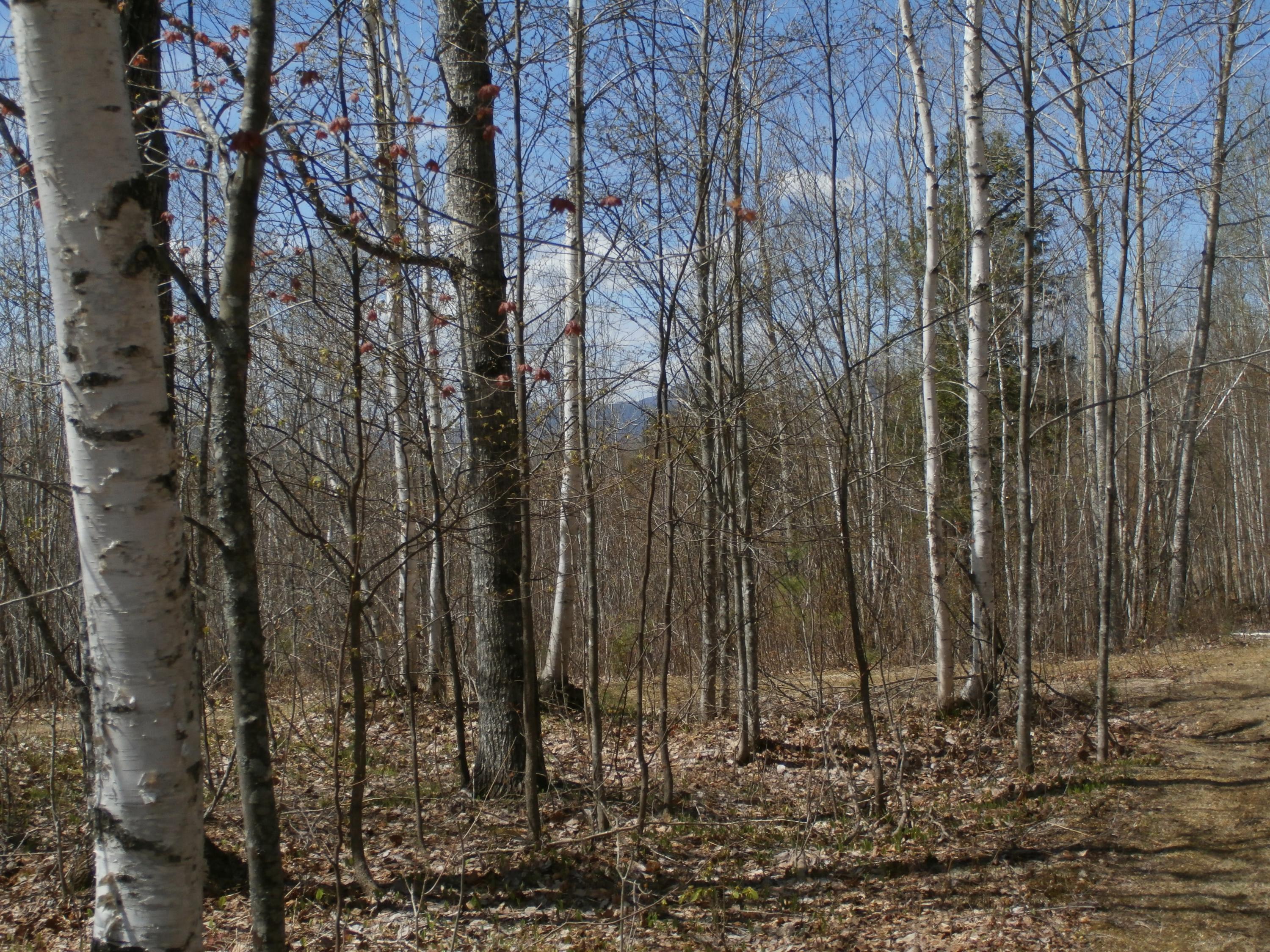 9 Green Hill Road Dixfield, ME 04224 - Photo 31 of 34 P5020848