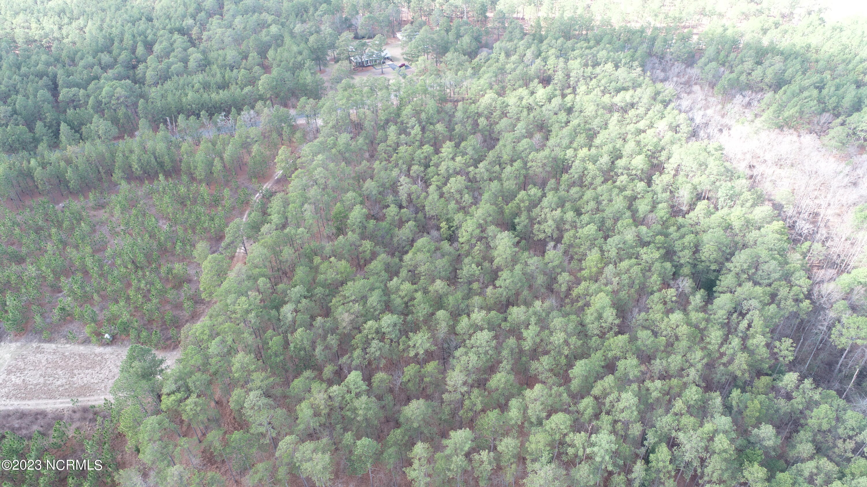 Lot 2 Flowers Road Jackson Springs, NC 27281 - Photo 10 of 13 DJI_0417