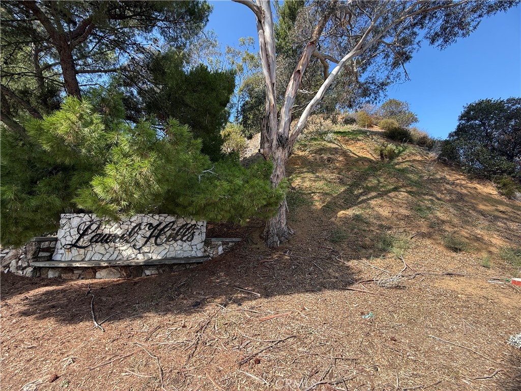 2515 Crest View Drive, Unit ADU #3 Los Angeles, CA 90046 - Photo 20 of 20 a view of an outdoor space