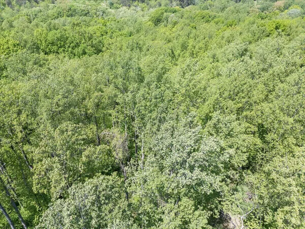 $18,500 | 0 Hwy 890/snow Creek Road, Martinsville, VA 24112