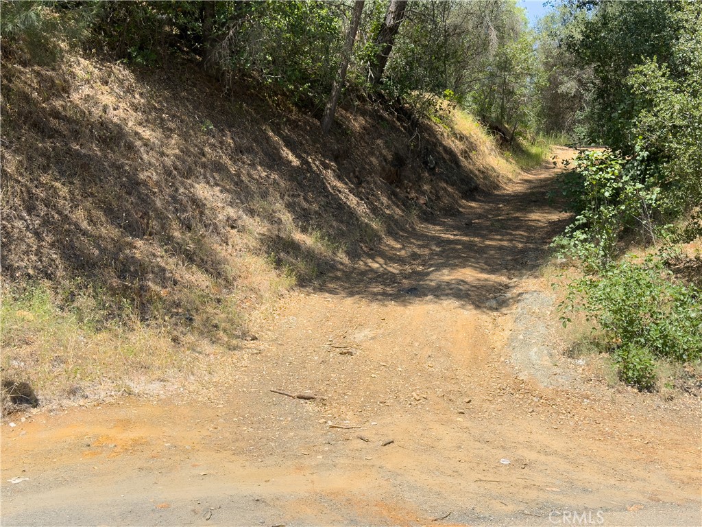 10 Miller Road Mariposa, CA 95338 - Photo 21 of 34 a view of snow in between of trees
